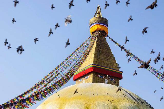 od体育电竞-尼泊尔大胜不丹，挺进欧锦赛四强的简单介绍