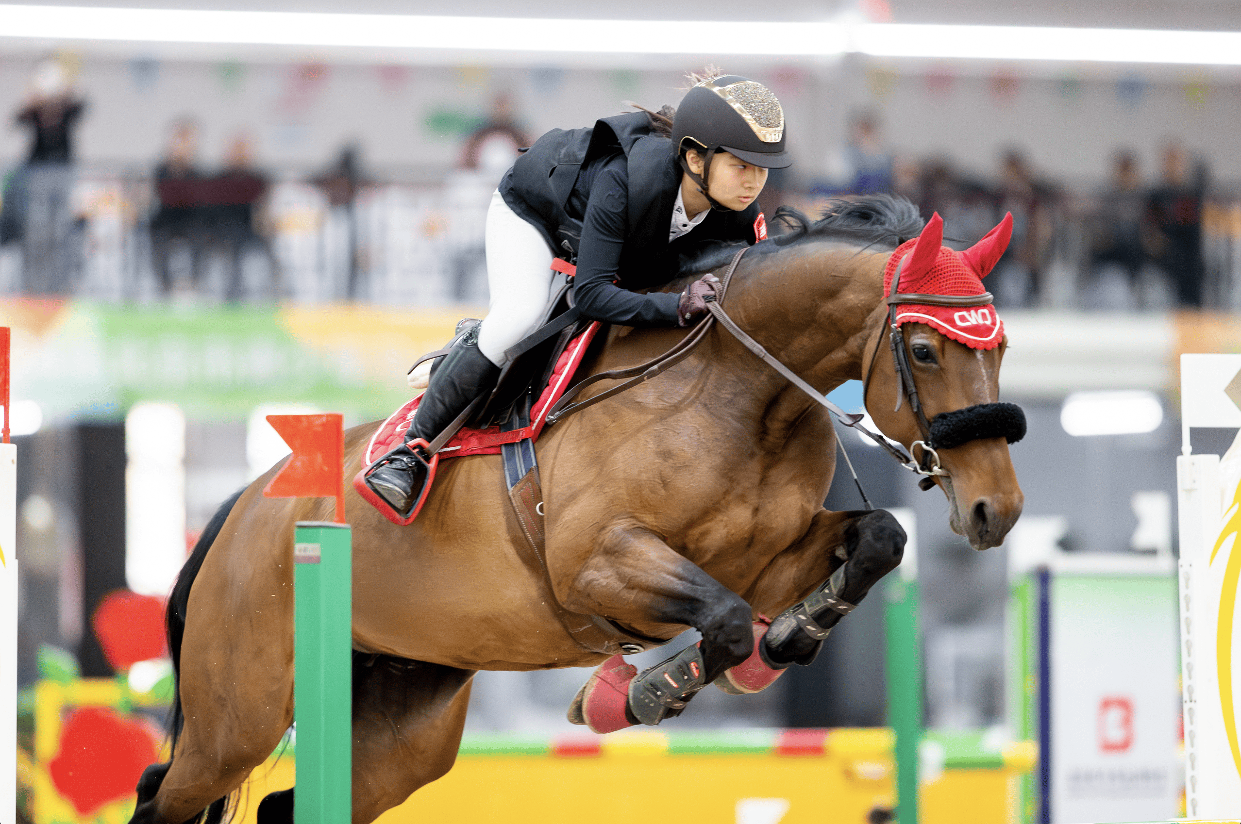 od体育登录-新西兰运动员在马术项目中取得突破