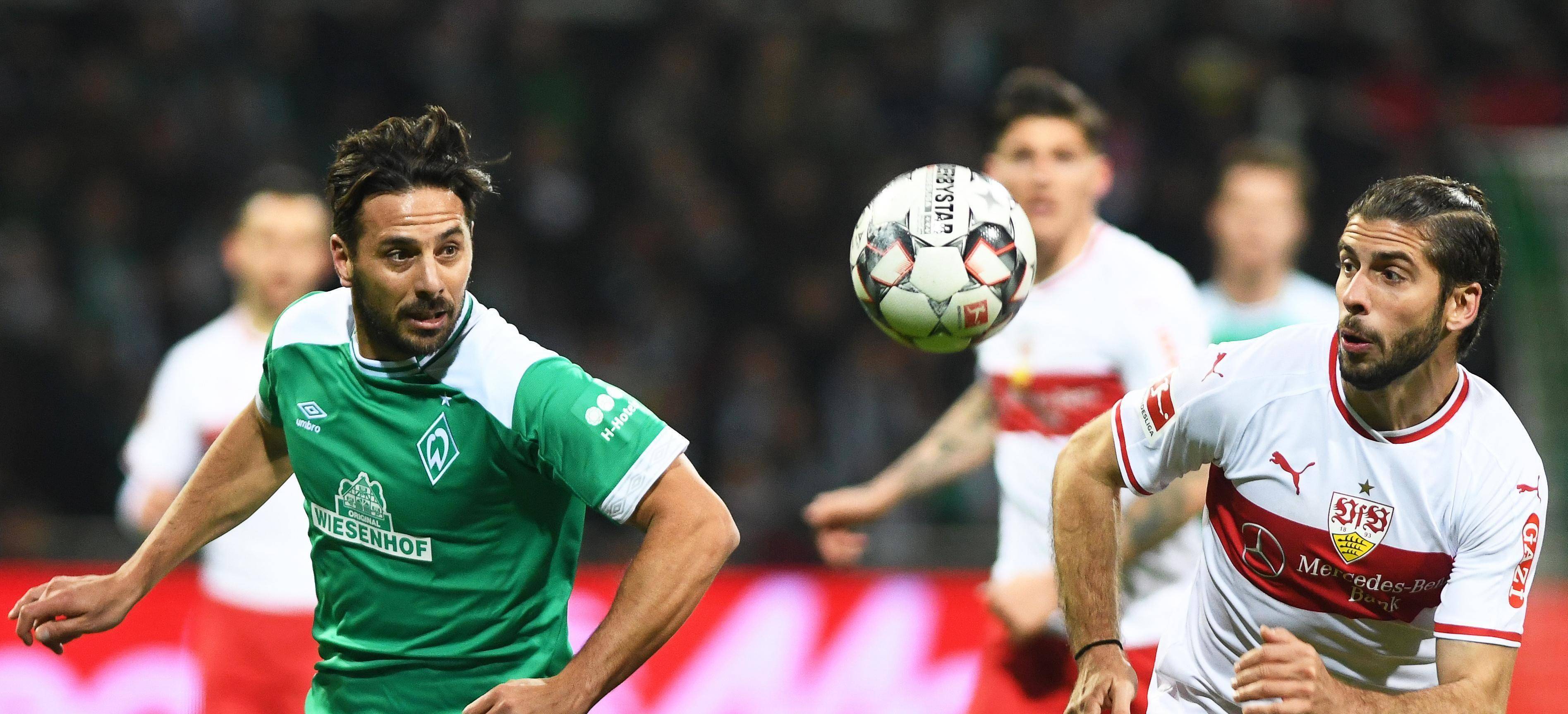 关于斯图加特客场逼平,表现令人瞩目的信息 关于斯图加特客场逼平,表现令人瞩目的信息